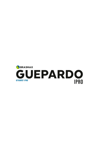 guepaardo